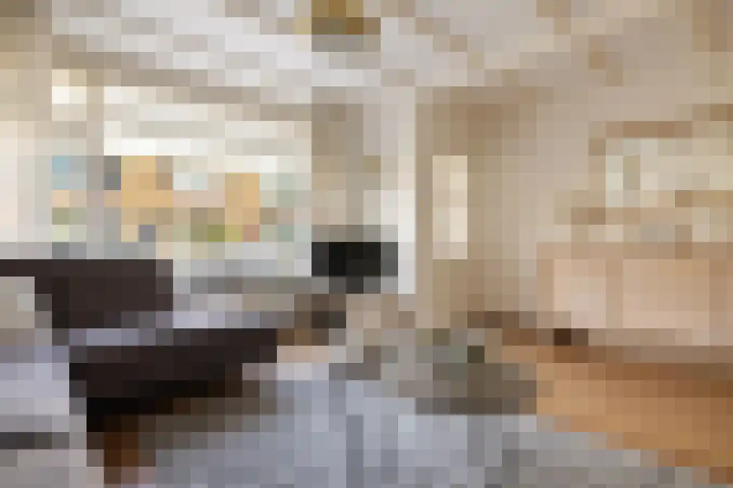 Burgemeester Teerstraat 19 Oostzaan thumbnail 12