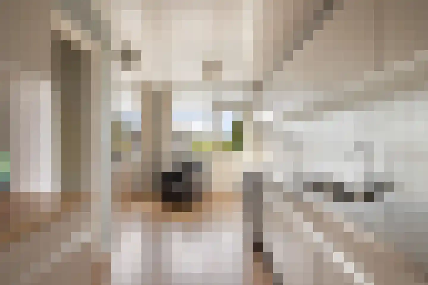 Burgemeester Teerstraat 19 Oostzaan thumbnail 16