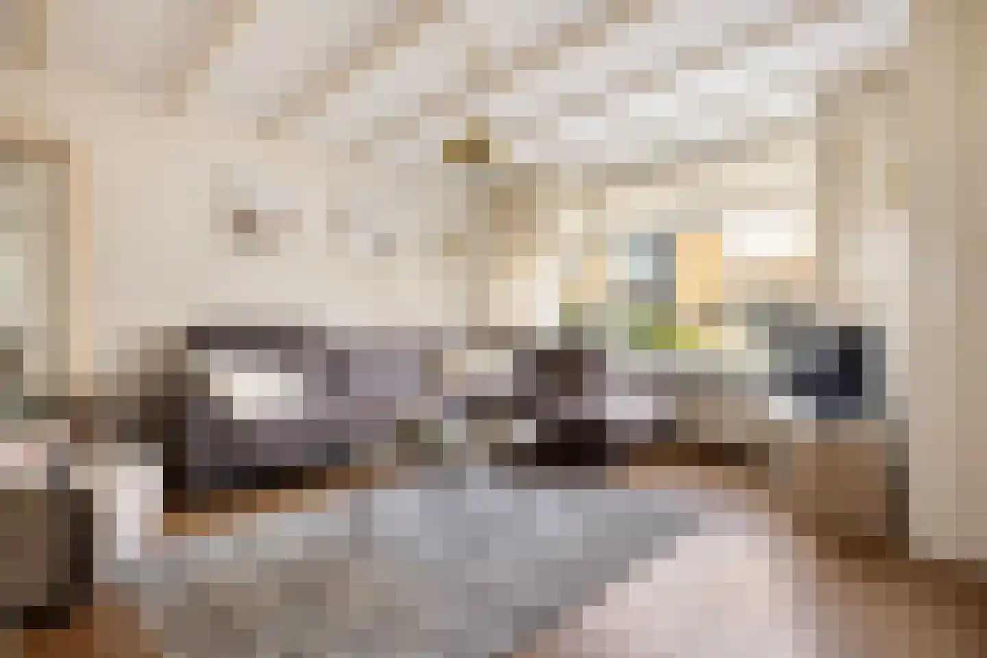 Burgemeester Teerstraat 19 Oostzaan thumbnail 4