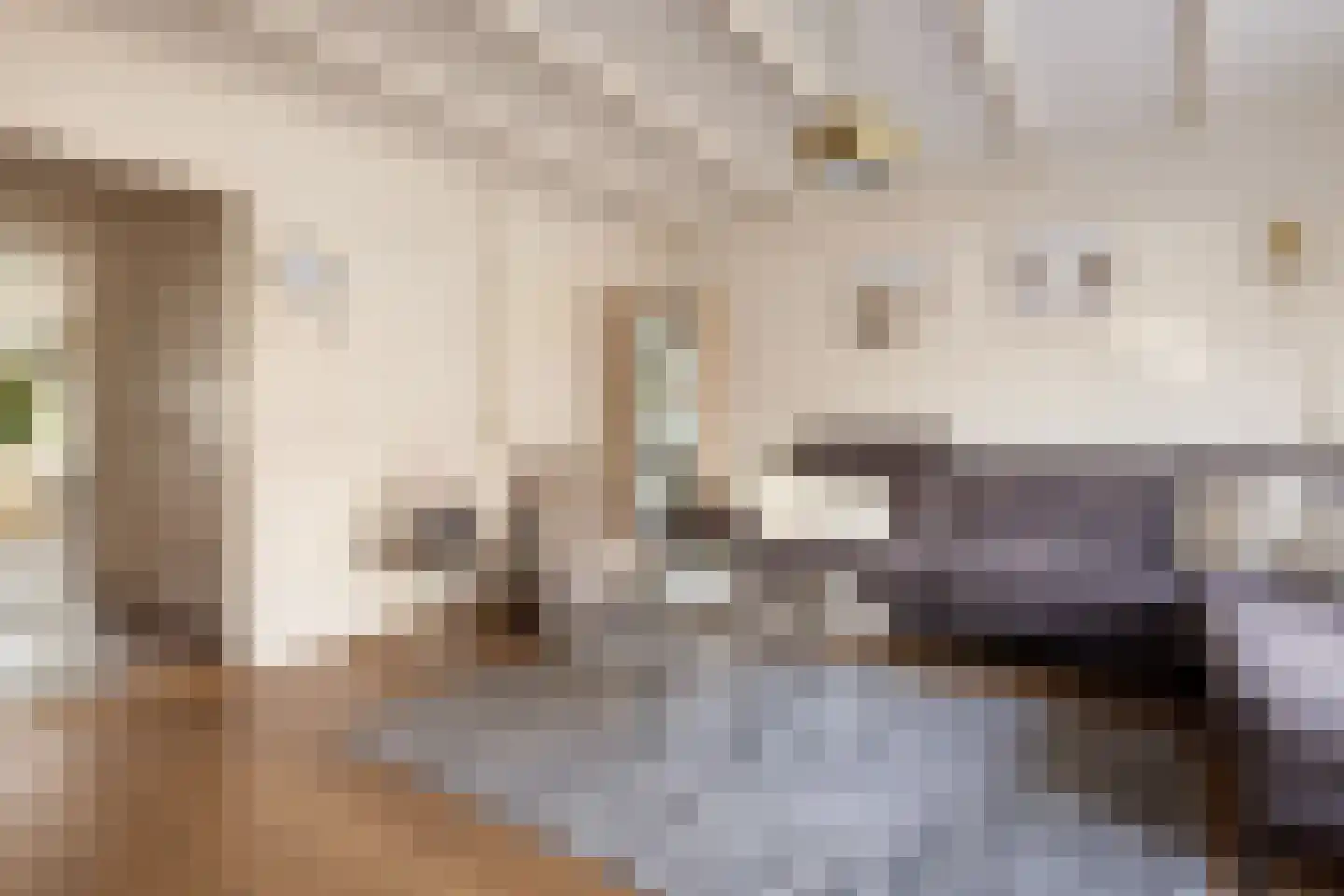 Burgemeester Teerstraat 19 Oostzaan thumbnail 9