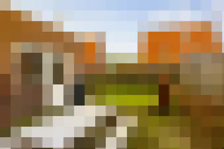 Burgemeester Ten Cateweg 15 Blokzijl thumbnail 13