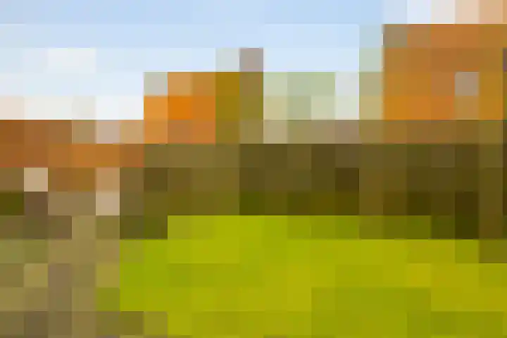 Burgemeester Ten Cateweg 15 Blokzijl thumbnail 15