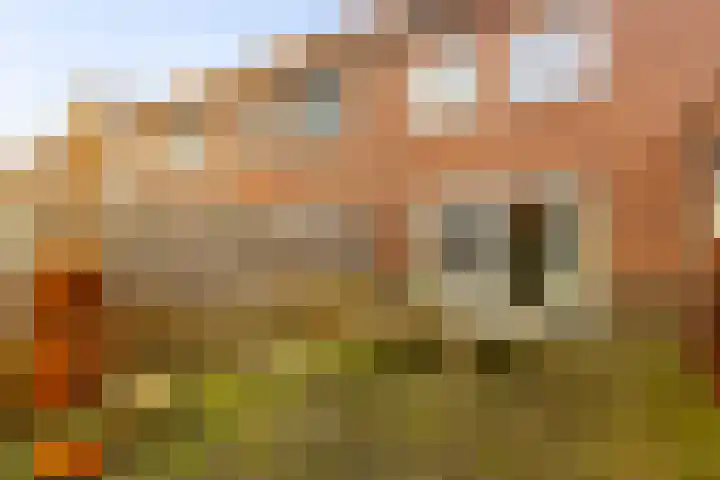 Burgemeester Ten Cateweg 15 Blokzijl thumbnail 17