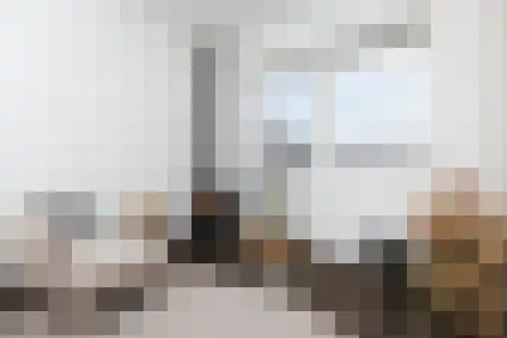 Burgemeester Ten Cateweg 15 Blokzijl thumbnail 18