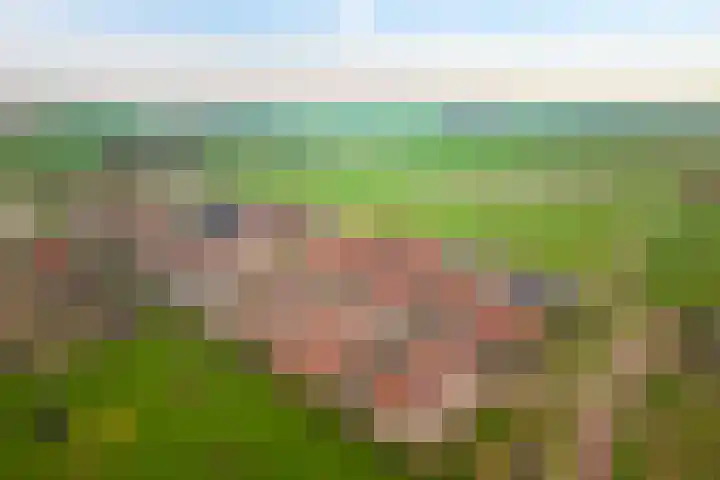 Burgemeester Ten Cateweg 15 Blokzijl thumbnail 29