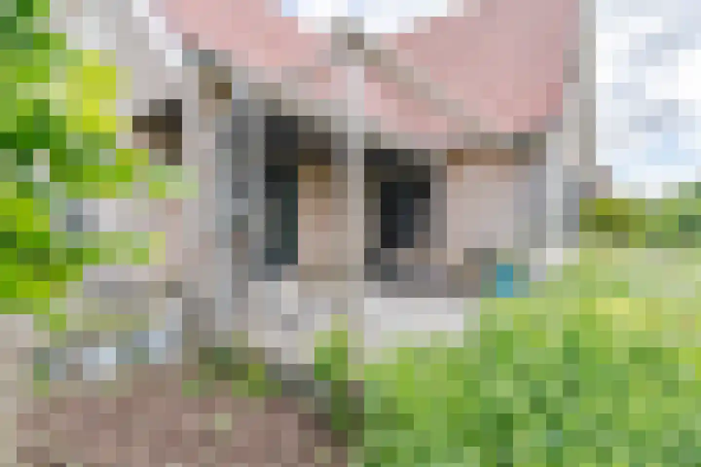 Burgemeester Ten Heuvelhofweg 14 Hazerswoude-Dorp thumbnail 17