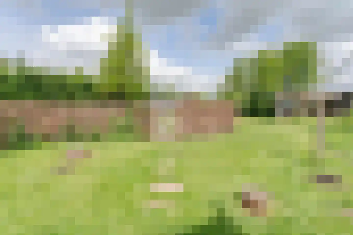 Burgemeester Ten Heuvelhofweg 14 Hazerswoude-Dorp thumbnail 40