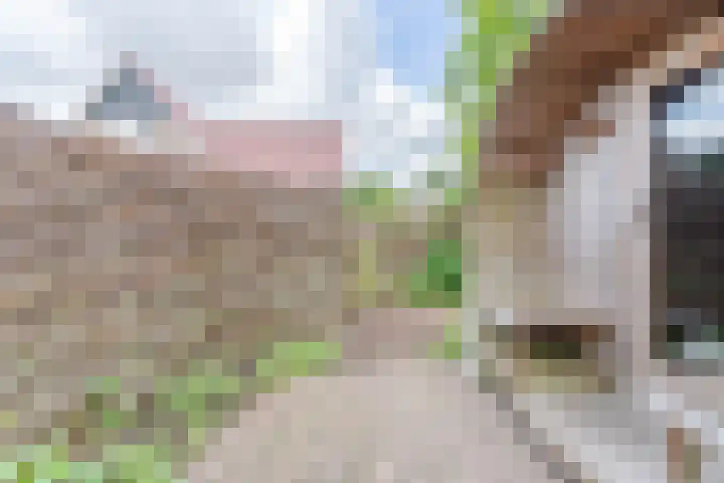 Burgemeester Ten Heuvelhofweg 14 Hazerswoude-Dorp thumbnail 43
