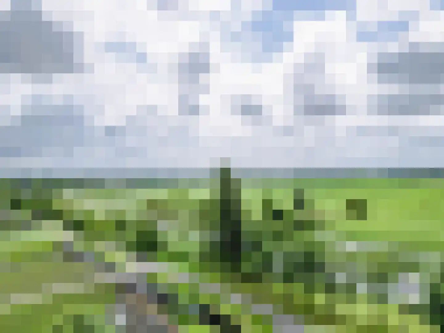 Burgemeester Ten Heuvelhofweg 14 Hazerswoude-Dorp thumbnail 52