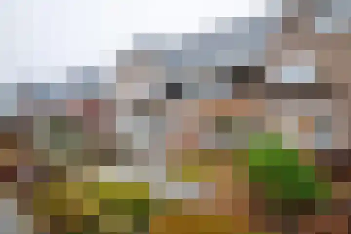 Burgemeester Tenkinkstraat 24 Doetinchem thumbnail 18