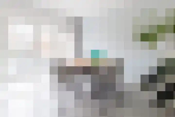Burgemeester Tenkinkstraat 24 Doetinchem thumbnail 7