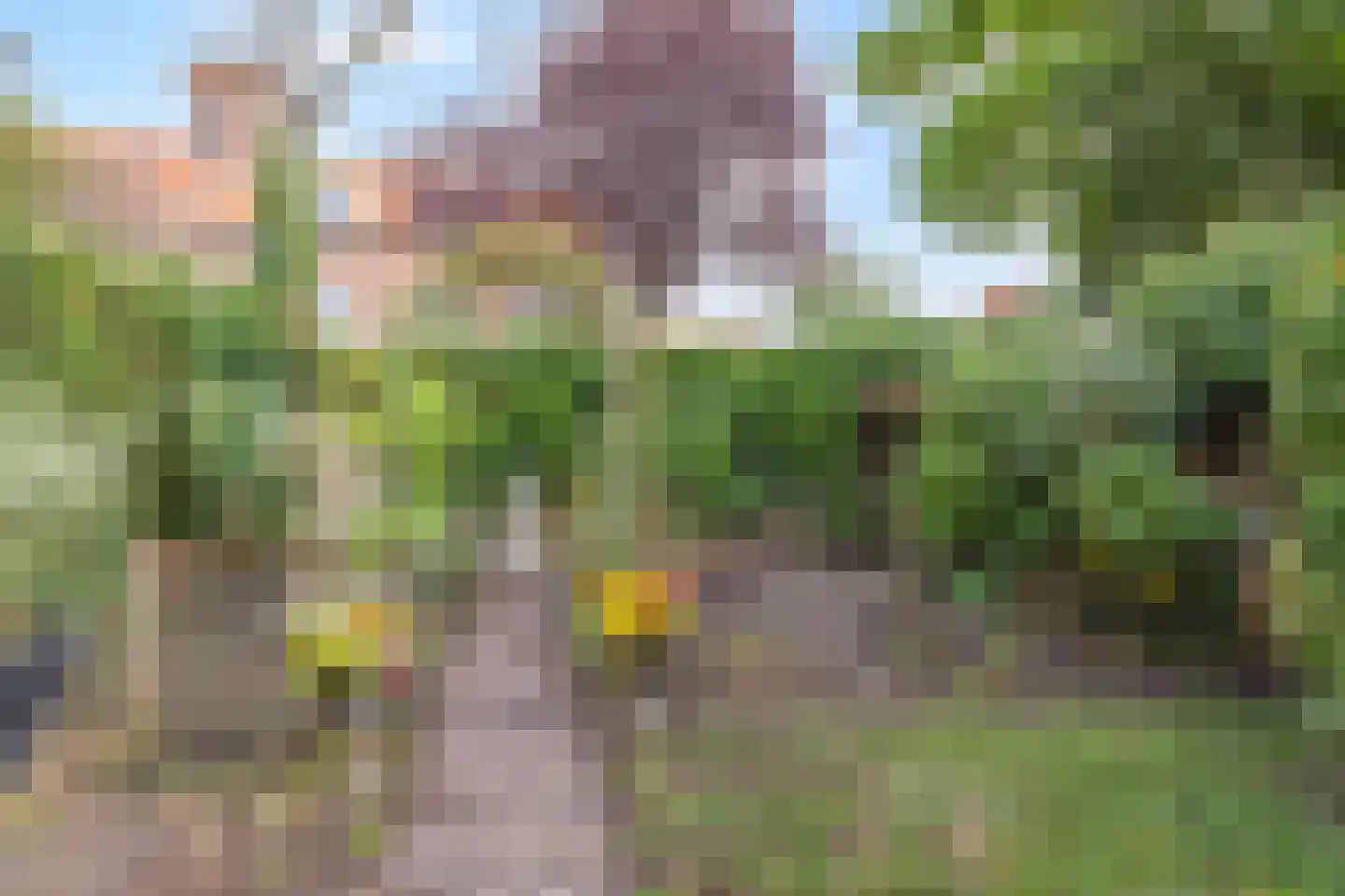 Burgemeester Tenkinkstraat 25 Doetinchem thumbnail 39