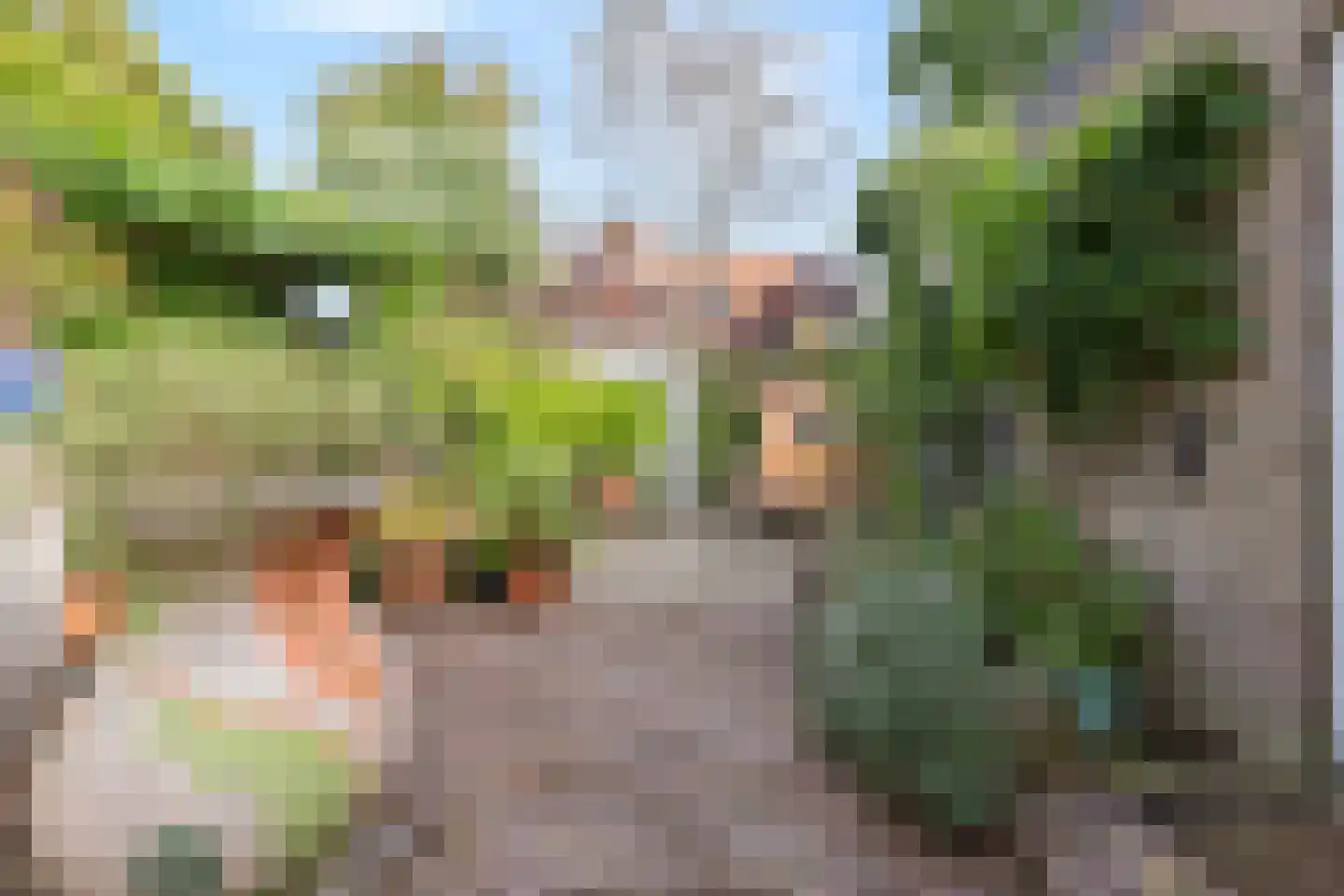 Burgemeester Tenkinkstraat 25 Doetinchem thumbnail 4