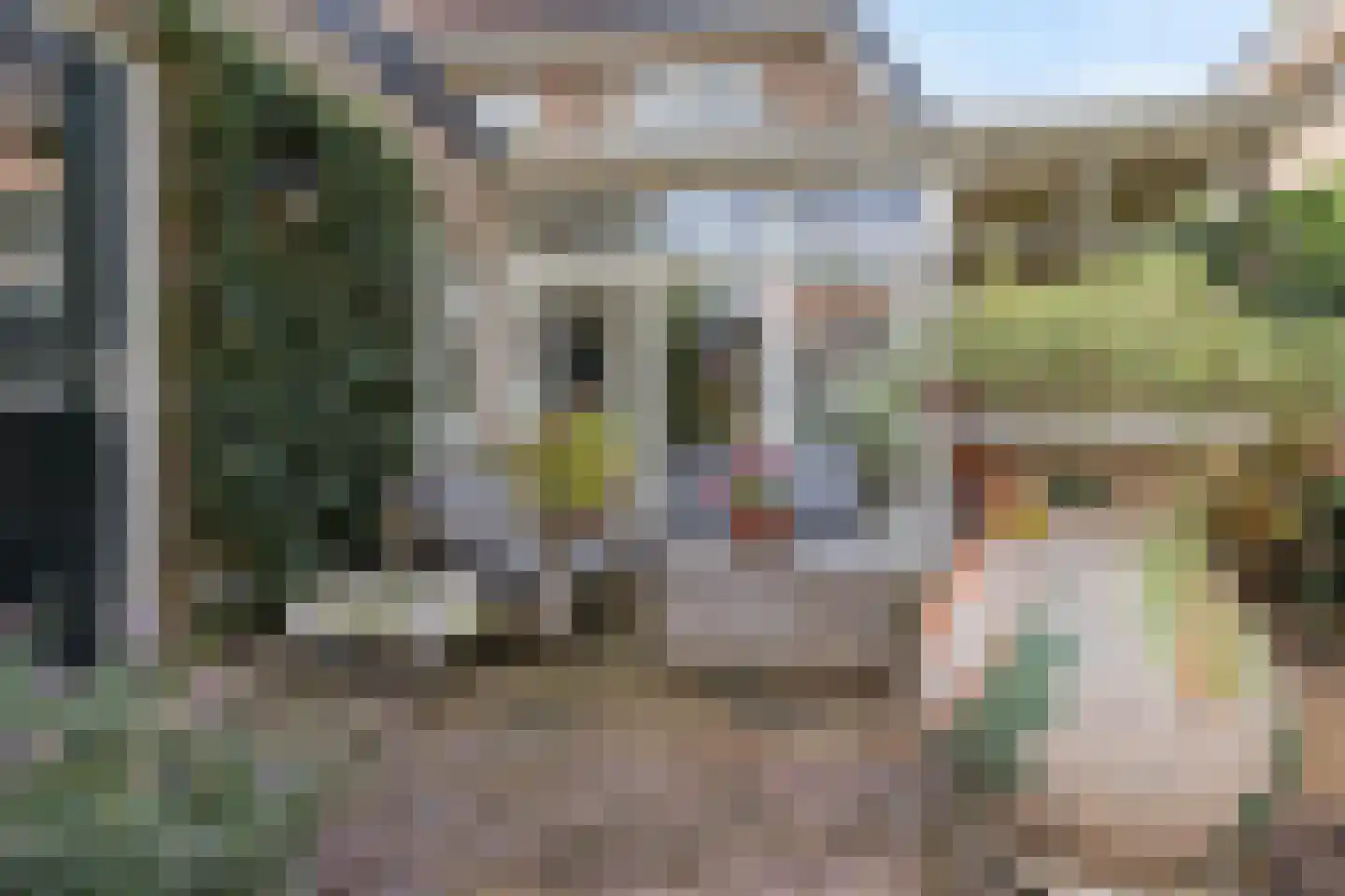 Burgemeester Tenkinkstraat 25 Doetinchem thumbnail 44