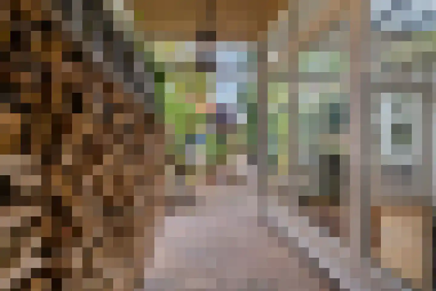 Burgemeester Tenkinkstraat 25 Doetinchem thumbnail 46