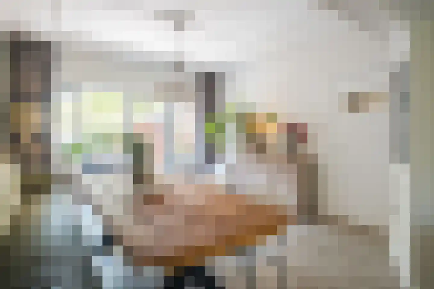 Burgemeester Tenkinkstraat 28 Doetinchem thumbnail 18