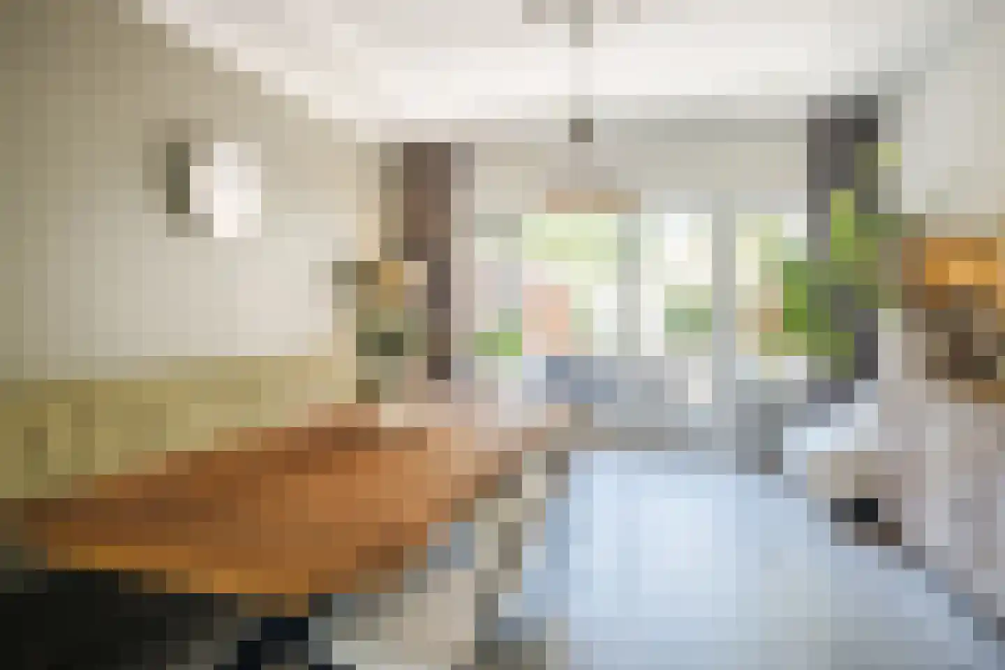 Burgemeester Tenkinkstraat 28 Doetinchem thumbnail 19