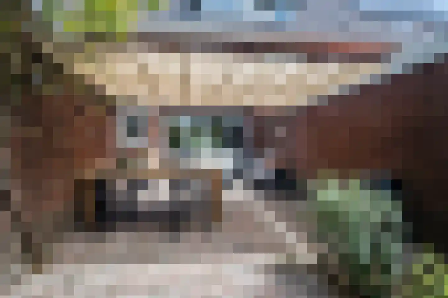 Burgemeester Tenkinkstraat 28 Doetinchem thumbnail 41