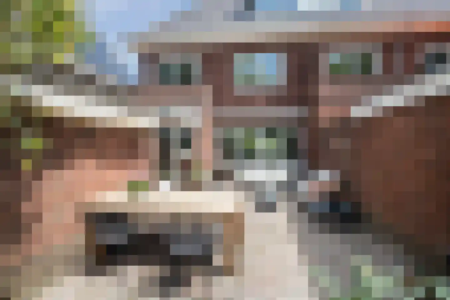 Burgemeester Tenkinkstraat 28 Doetinchem thumbnail 42