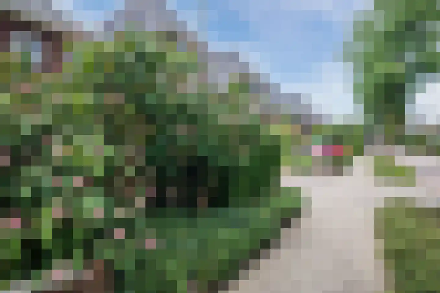 Burgemeester Tenkinkstraat 28 Doetinchem thumbnail 44
