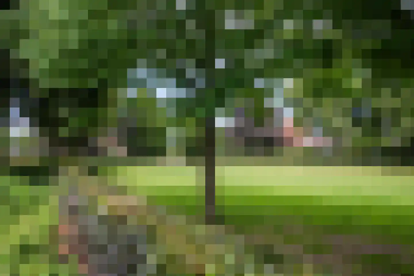 Burgemeester Tenkinkstraat 28 Doetinchem thumbnail 48