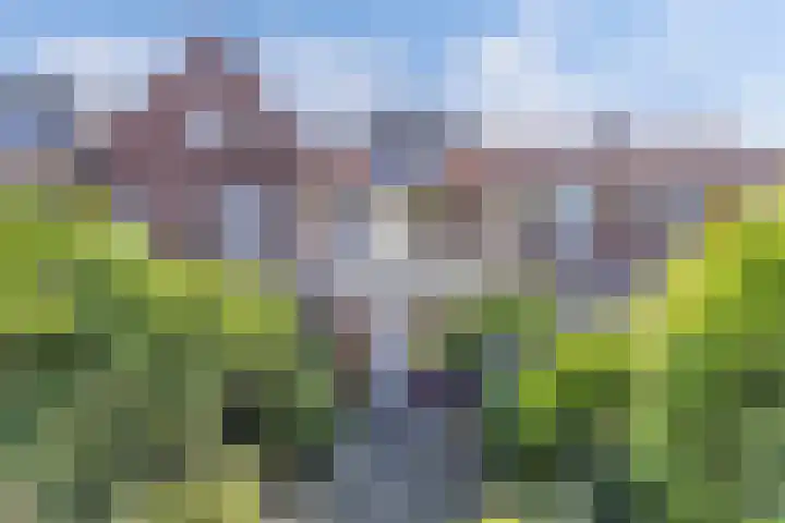 Burgemeester Ter Laanplantsoen 3 Zaandam thumbnail 19