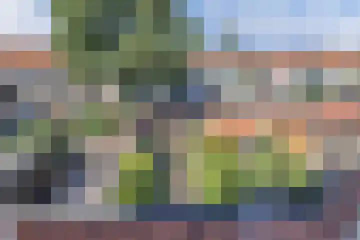 Burgemeester Ter Laanplantsoen 3 Zaandam thumbnail 27