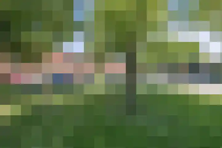 Burgemeester Ter Laanplantsoen 3 Zaandam thumbnail 29