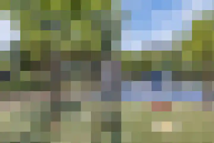 Burgemeester Ter Laanplantsoen 3 Zaandam thumbnail 30