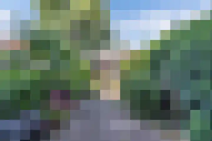 Burgemeester Ter Laanplantsoen 3 Zaandam thumbnail 4