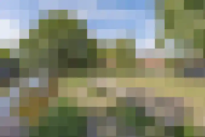 Burgemeester Ter Laanplantsoen 3 Zaandam thumbnail 7