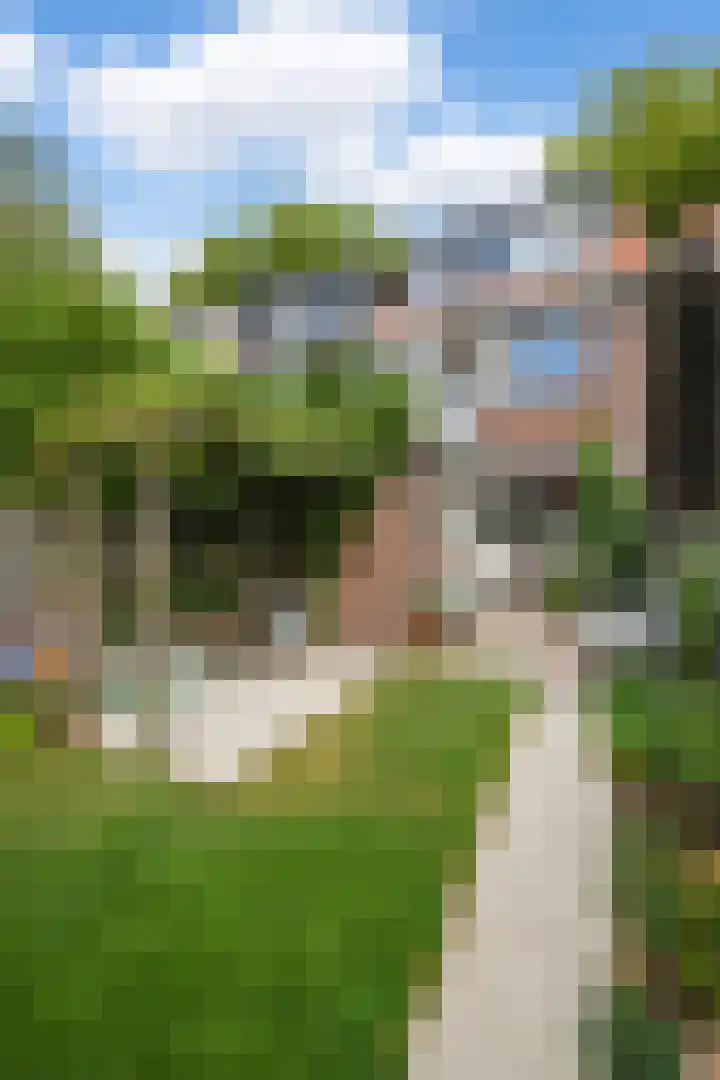 Burgemeester Ter Laanstraat 104 Zaandam thumbnail 21