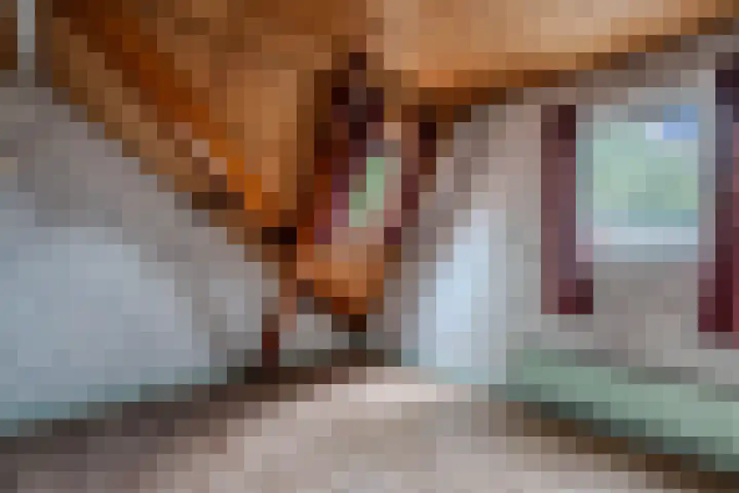 Burgemeester Ter Laanstraat 12 Zaandam thumbnail 20