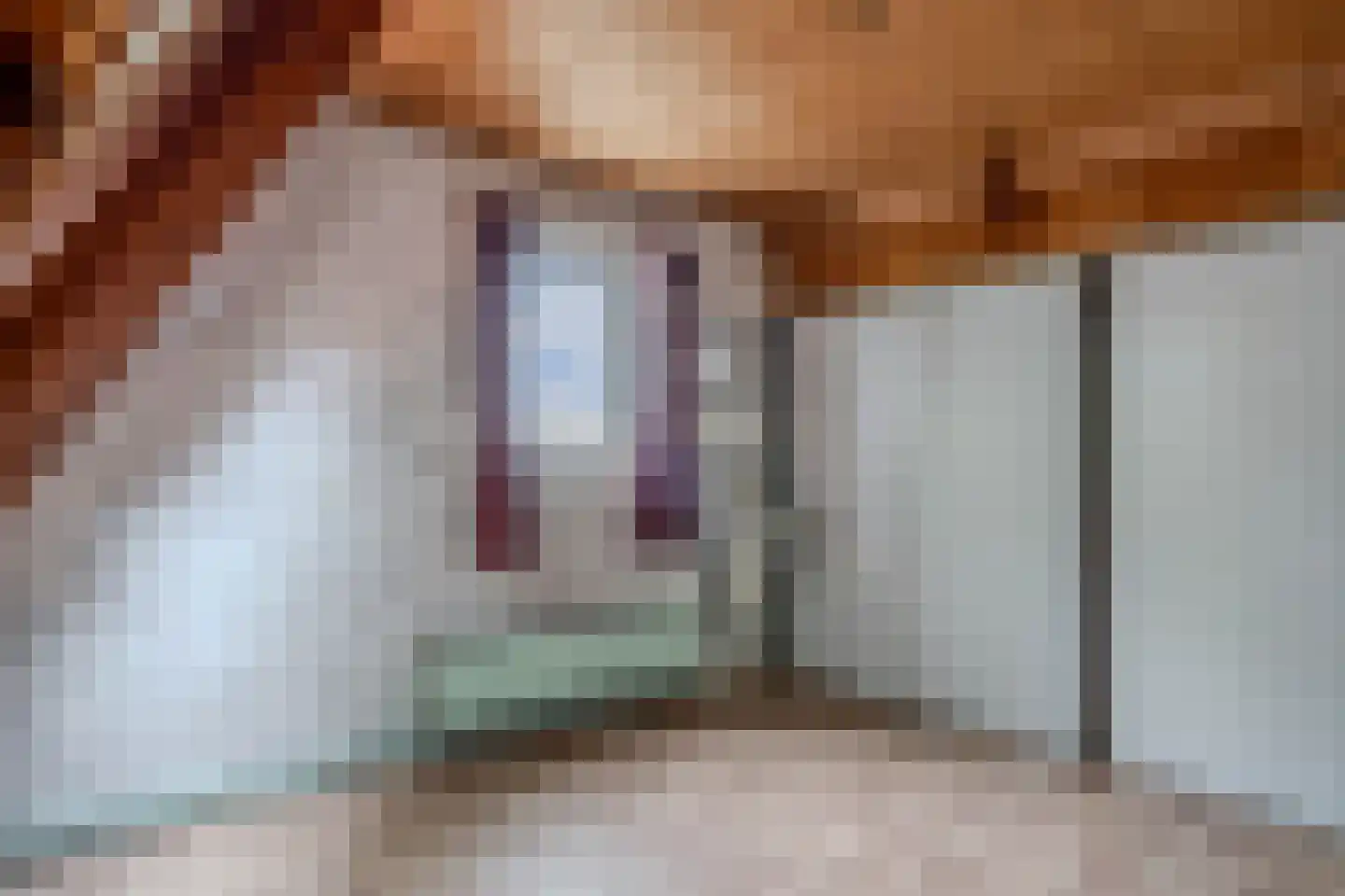 Burgemeester Ter Laanstraat 12 Zaandam thumbnail 21