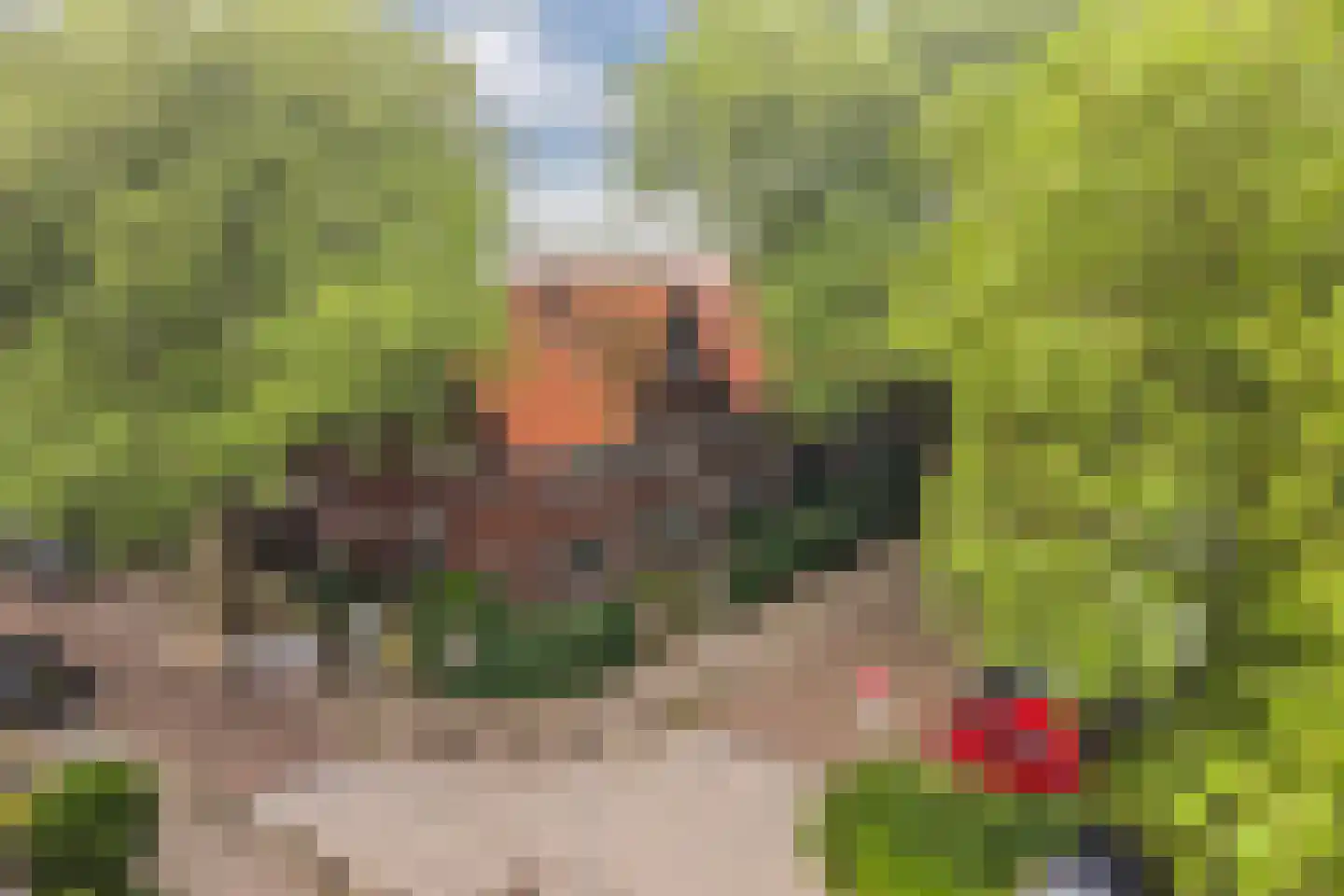 Burgemeester Ter Laanstraat 12 Zaandam thumbnail 5