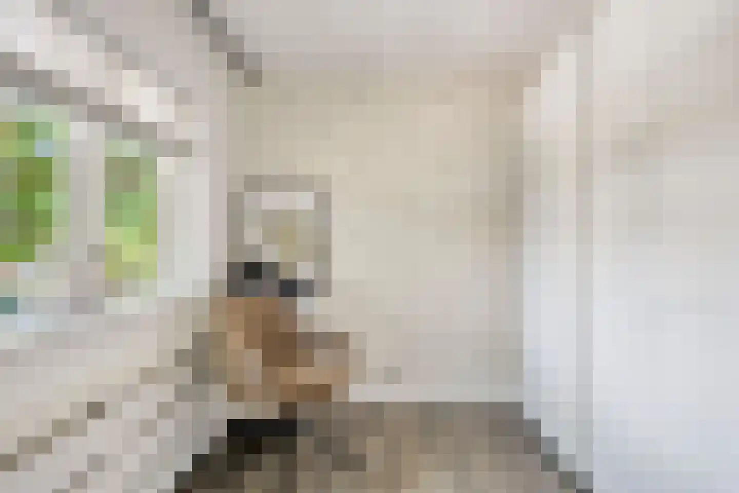 Burgemeester Ter Laanstraat 34 Zaandam thumbnail 22
