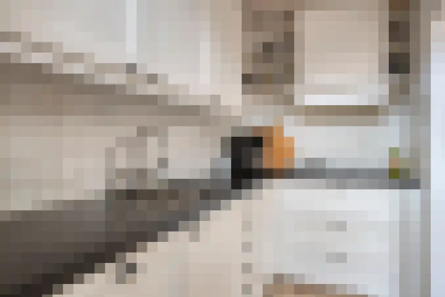 Burgemeester Ter Laanstraat 34 Zaandam thumbnail 8