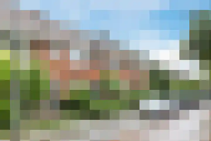 Burgemeester Ter Laanstraat 78 Zaandam thumbnail 5
