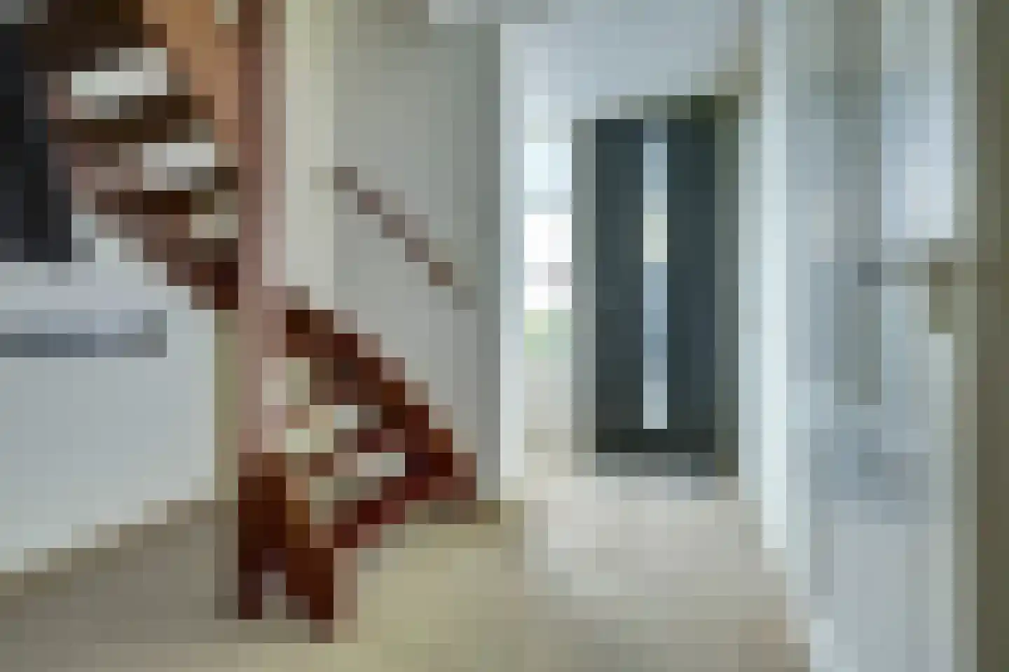 Burgemeester ter Veerstraat 12 Moergestel thumbnail 4