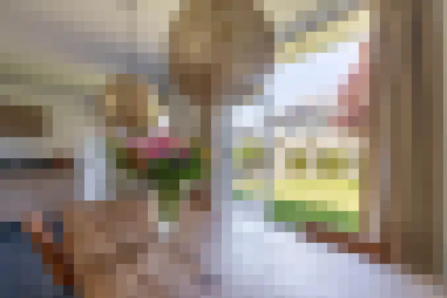 Burgemeester ter Veerstraat 13 Moergestel thumbnail 21