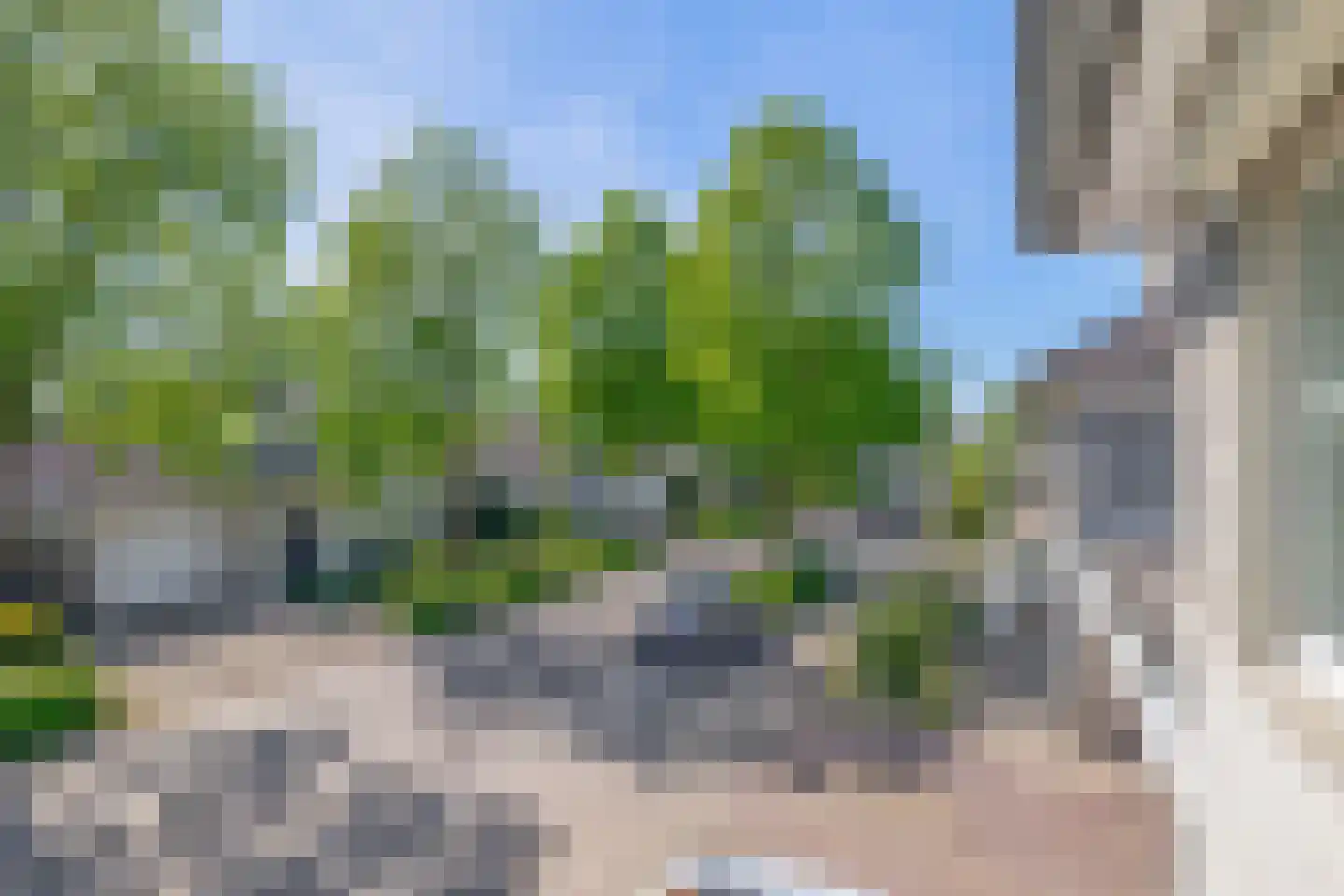 Burgemeester ter Veerstraat 13 Moergestel thumbnail 31