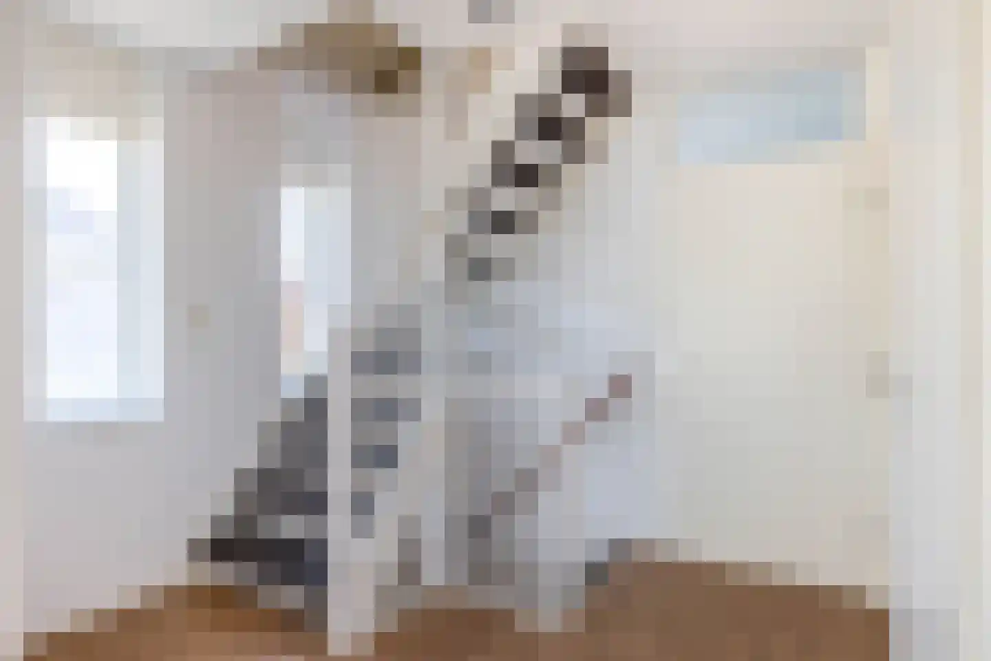 Burgemeester ter Veerstraat 13 Moergestel thumbnail 37