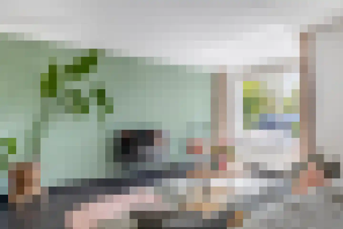Burgemeester ter Veerstraat 13 Moergestel thumbnail 9