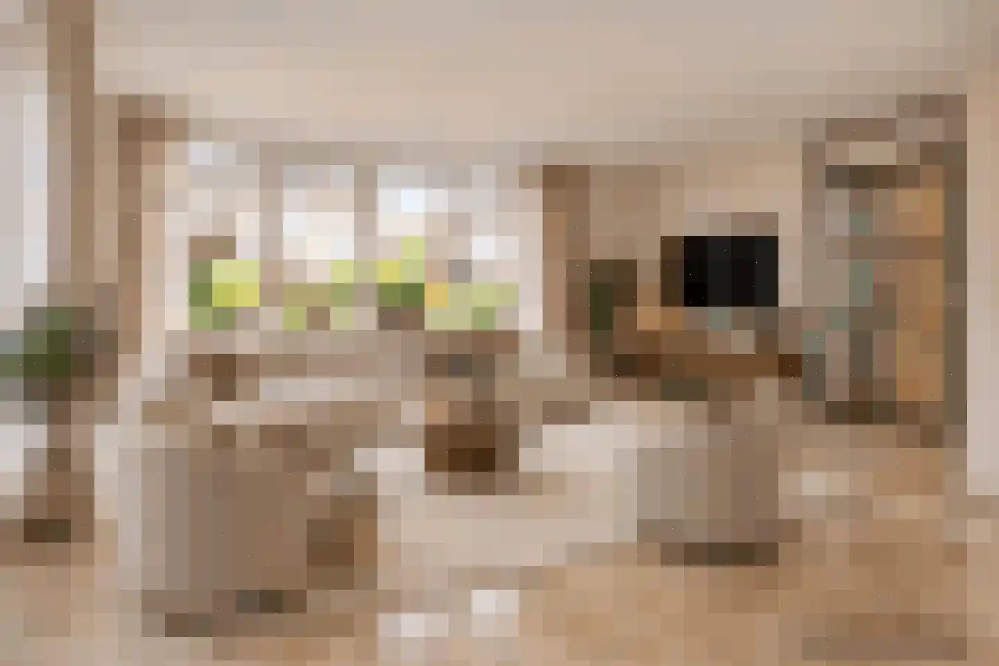 Burgemeester ter Veerstraat 2 Moergestel thumbnail 11