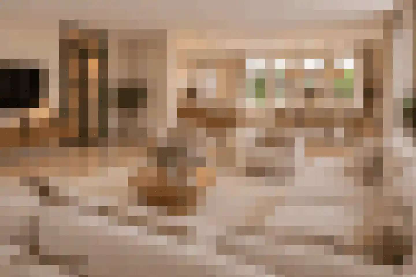 Burgemeester ter Veerstraat 2 Moergestel thumbnail 16