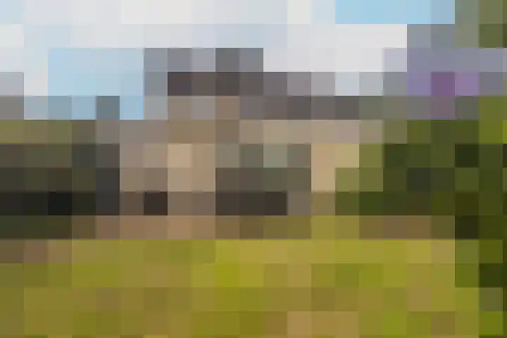 Burgemeester ter Veerstraat 31 Moergestel thumbnail 36