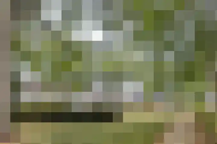 Burgemeester ter Veerstraat 31 Moergestel thumbnail 38