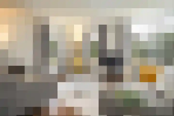 Burgemeester ter Veerstraat 31 Moergestel thumbnail 5