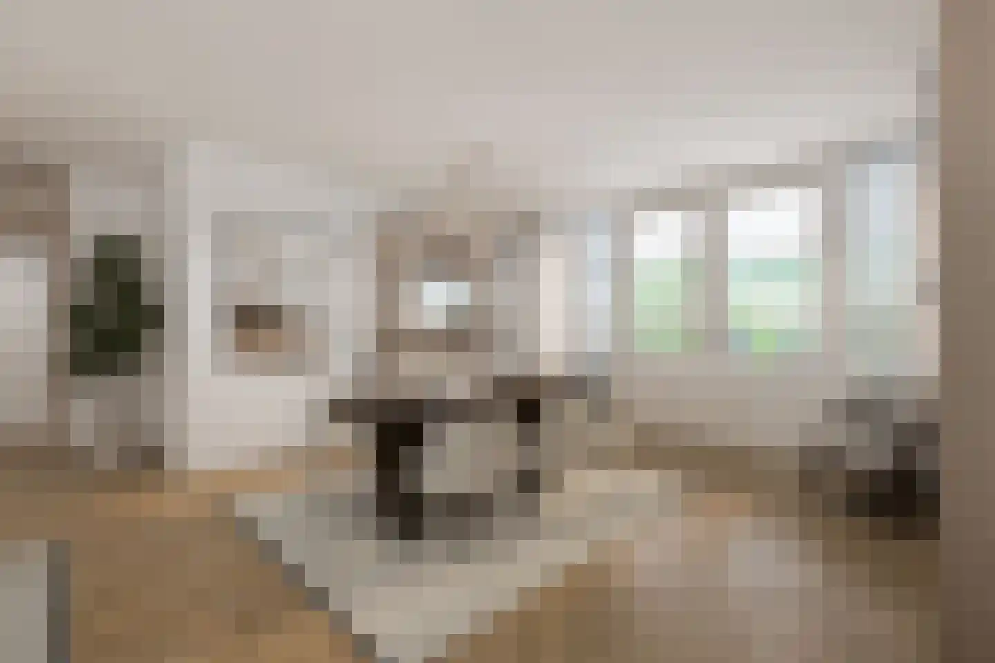 Burgemeester ter Veerstraat 6 Moergestel thumbnail 22