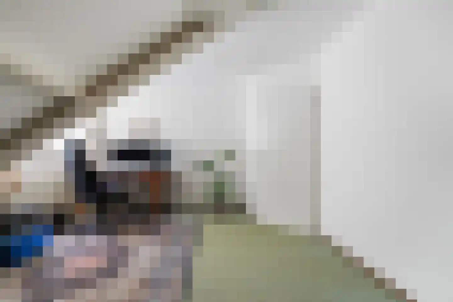 Burgemeester ter Veerstraat 6 Moergestel thumbnail 47